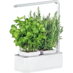 Jardinière Avec Lampe Led Intégrée Mini Potager