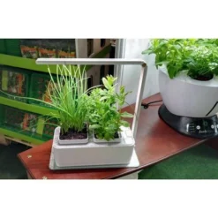 Jardinière Avec Lampe Led Intégrée Mini Potager -Promos Jardin Noble Magasin 12683699 5