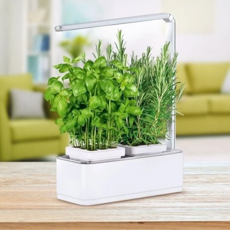 Jardinière Avec Lampe Led Intégrée Mini Potager + Engrais 250 Ml 4 Jardinière Avec Lampe Led Intégrée Mini Potager + Engrais 250 Ml – Image 2