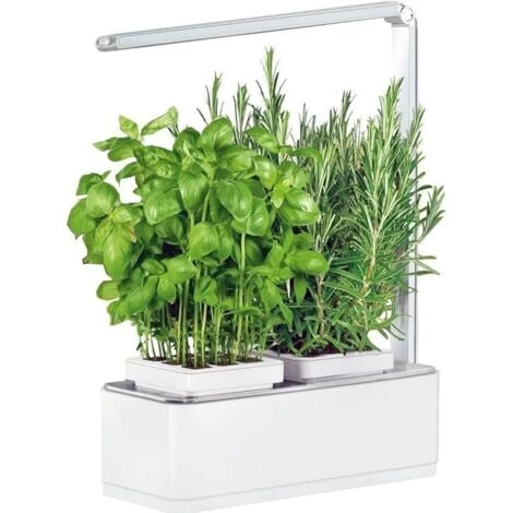 Jardinière Avec Lampe Led Intégrée Mini Potager + Engrais 250 Ml 5 Jardinière Avec Lampe Led Intégrée Mini Potager + Engrais 250 Ml – Image 3
