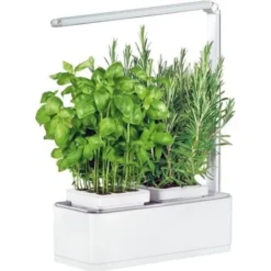 Jardinière Avec Lampe Led Intégrée Mini Potager + Engrais 1000 Ml -Promos Jardin Noble Magasin 12683708 3