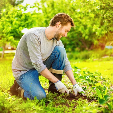 Relaxdays Toile Paillage Anti-mauvaises Herbes 50m Bâche Tissée Toile 50g/m² Géotextile, Résiste UV, Antidéchirure, Noir 7 Relaxdays Toile Paillage Anti-mauvaises Herbes 50m Bâche Tissée Toile 50g/m² Géotextile, Résiste UV, Antidéchirure, Noir – Image 5