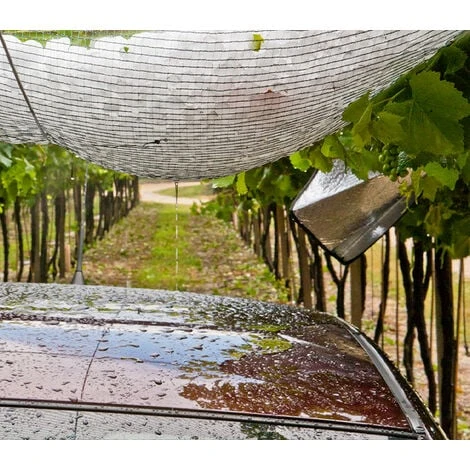 Filet Anti-grêle Avec Boucles Et Ralingue - 8 X 8m - 70g/m² 3 Filet Anti-grêle Avec Boucles Et Ralingue - 8 X 8m - 70g/m²