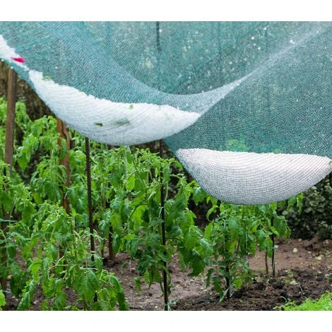 Filet Anti-grêle Avec Boucles Et Ralingue - 8 X 8m - 70g/m² 7 Filet Anti-grêle Avec Boucles Et Ralingue - 8 X 8m - 70g/m² – Image 5