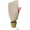 Housse D'hivernage Et De Protection Pour Plantes 80x60cm - Lot De 2 -Promos Jardin Noble Magasin 15672533 1
