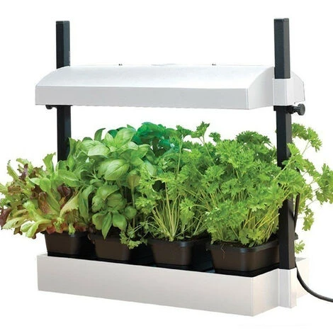 Mini Jardin Blanc Avec Lampes 2x24W - Garland Potager Cuisine Et Salon 3 Mini Jardin Blanc Avec Lampes 2x24W - Garland Potager Cuisine Et Salon