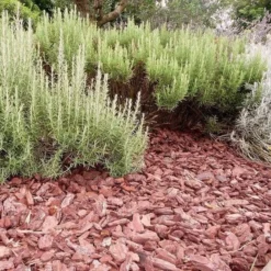 Paillage Végétal Biodégradable écorces De Pin Maritime 10 Sacs 50 L Pour 10m2 -Promos Jardin Noble Magasin 15817009 3