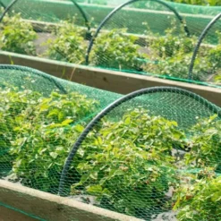 Filet Anti-oiseaux Polyéthylène 4x10m Maille 15x15mm Résistant Intempéries Et UV Protection Bassin -Promos Jardin Noble Magasin 16085962 3