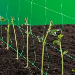 Nature Filet à Ramer Vert 10 G/m², Dimensions 1 X 10 M