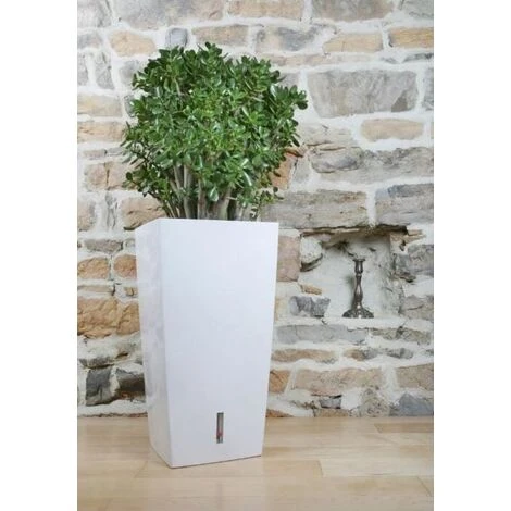 Riviera Pot En Plastique Carré Avec Réserve D'eau 52 Cm Eva 4 Riviera Pot En Plastique Carré Avec Réserve D'eau 52 Cm Eva – Image 2