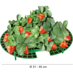 WENKO Support Fraisier, Support Jardinage Anti Limaces Et Escargots, Lot De 15, Plastique Résistant, Diamètre Réglable 31 à 40 Cm, Vert -Promos Jardin Noble Magasin 19259727 3
