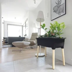 Prosperplast Potager Serre En Plastique Avec Pieds En Bois