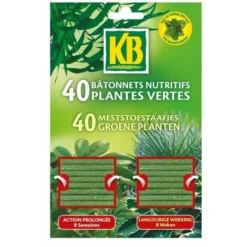 KB - Bâtonnet Nutritif - Plante Verte - Lot De 40