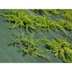 Toile De Paillage - Vert - 130gr/m² Vert 1.65m X 5m