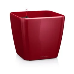 Pot Quadro Premium 21 Lechuza Kit Complet 21 Cm - Espresso Métallisé -Promos Jardin Noble Magasin 28507779 3