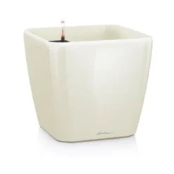 Pot Quadro Premium 21 Lechuza Kit Complet 21 Cm - Espresso Métallisé -Promos Jardin Noble Magasin 28507779 5