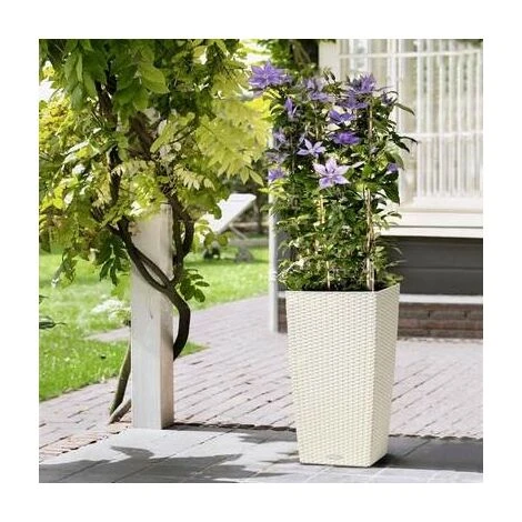 Pot Cubico Cottage 30 Lechuza Kit Complet 30 Cm - Chocolat 7 Pot Cubico Cottage 30 Lechuza Kit Complet 30 Cm - Chocolat – Image 5