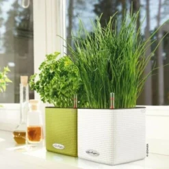 Pot Cube Color 14 Lechuza Kit Complet Blanc - 14 Cm -Promos Jardin Noble Magasin 28507941 4