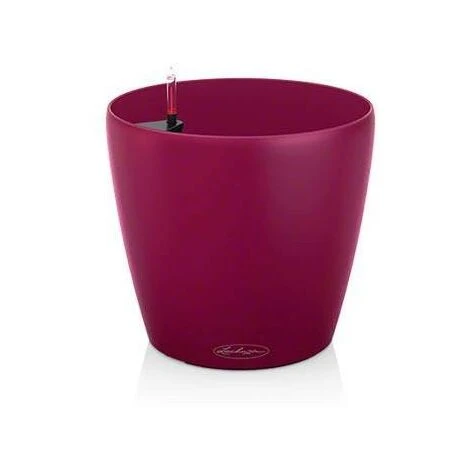 Pot Classico Color 21 Lechuza Kit Complet Gris Ardoise - 21 Cm 5 Pot Classico Color 21 Lechuza Kit Complet Gris Ardoise - 21 Cm – Image 3