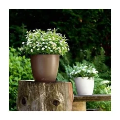 Pot Classico Color 21 Lechuza Kit Complet Gris Ardoise - 21 Cm 11 Pot Classico Color 21 Lechuza Kit Complet Gris Ardoise - 21 Cm -Promos Jardin Noble Magasin 28507993 5