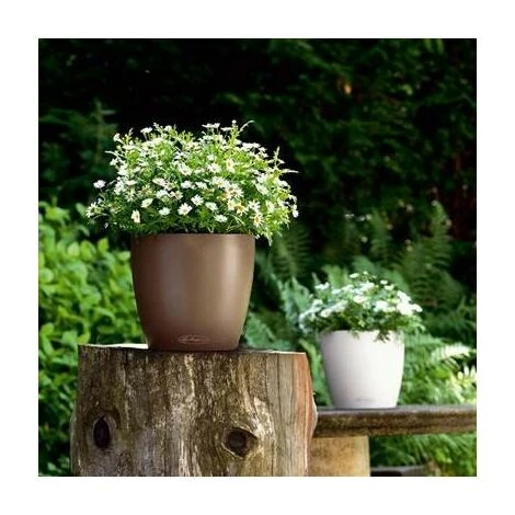 Pot Classico Color 21 Lechuza Kit Complet Gris Ardoise - 21 Cm 7 Pot Classico Color 21 Lechuza Kit Complet Gris Ardoise - 21 Cm – Image 5