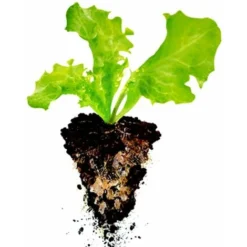 Hydro-rétenteur D'eau Fertilisant Polyter Bidon 250 G -Promos Jardin Noble Magasin 28731339 4