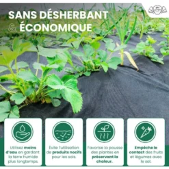 Toiles De Paillage 130g/m² Très épais - Geotextile Anti Repousse 50Mx1M Pour Terrasses Et Allées - Bache Anti Mauvaise Herbe 130g Pour Potager -Promos Jardin Noble Magasin 29783871 4