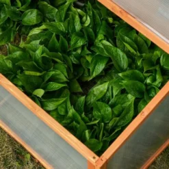 OUTSUNNY Mini Serre De Jardin Serre à Tomates Dim. 90L X 80l X 58H Cm Toits Ouvrables Panneaux De Polycarbonate Bois Sapin Pré-huilé -Promos Jardin Noble Magasin 30030770 5