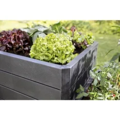 Jardinière Surrélevée Anthracite, 60 X 60 Cm, Hauteur 25 Cm Garantia 9 Jardinière Surrélevée Anthracite, 60 X 60 Cm, Hauteur 25 Cm Garantia -Promos Jardin Noble Magasin 30484058 3
