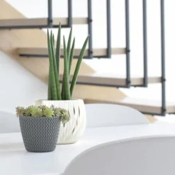 Prosperplast Splofy Pot Rond 5L Ø 21,8 X 18,4 Cm Blanc -Promos Jardin Noble Magasin 30806931 4