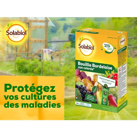 SOLABIOL SOBOU400N Bouillie Bordelaise Non Colorée 400g Utilisable En Agriculture Biologique 4 SOLABIOL SOBOU400N Bouillie Bordelaise Non Colorée 400g Utilisable En Agriculture Biologique – Image 2