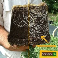 SOLABIOL SOSIRYL100N Stimulateur Racinaire 100 Ml Effets Visibles En Quelques Jours Utilisable En Agriculture Biologique -Promos Jardin Noble Magasin 32377138 3