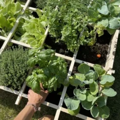 Carré Potager 90x90cm. Epeautre - Potager En Bois -Promos Jardin Noble Magasin 32936666 4