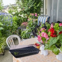 Relaxdays Bac à Semis, Lot De 3, Mini Serre Pour Rebord De Fenêtre, Plantation, 50 Compartiments, HLP 12x56x29 Cm, Noir -Promos Jardin Noble Magasin 37828271 2