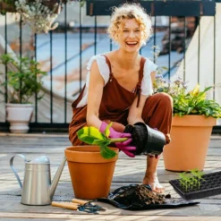 Relaxdays Bac à Semis, Lot De 3, Mini Serre Pour Rebord De Fenêtre, Plantation, 50 Compartiments, HLP 12x56x29 Cm, Noir -Promos Jardin Noble Magasin 37828271 5