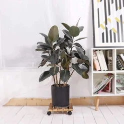 2 X Chariot De Plantes En Bois 30 X 30 X 8cm Soucoupe Pot Fleur Roulettes Support Plante Bois Roulant Capacité De Charge 60kg 9 2 X Chariot De Plantes En Bois 30 X 30 X 8cm Soucoupe Pot Fleur Roulettes Support Plante Bois Roulant Capacité De Charge 60kg -Promos Jardin Noble Magasin 38996567 3