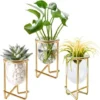 Porte-plantes Aériennes Décor En Métal Doré Pour La Maison Ensemble De 3 Mini-jardinières Géométriques Terrariums Vase En Verre Tillandsia Présentoirs Pour Femmes Vases Hydroponiques Pour Bureau (plan -Promos Jardin Noble Magasin 40102766 1