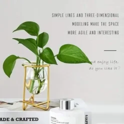 Porte-plantes Aériennes Décor En Métal Doré Pour La Maison Ensemble De 3 Mini-jardinières Géométriques Terrariums Vase En Verre Tillandsia Présentoirs Pour Femmes Vases Hydroponiques Pour Bureau (plan 11 Porte-plantes Aériennes Décor En Métal Doré Pour La Maison Ensemble De 3 Mini-jardinières Géométriques Terrariums Vase En Verre Tillandsia Présentoirs Pour Femmes Vases Hydroponiques Pour Bureau (plan -Promos Jardin Noble Magasin 40102766 5