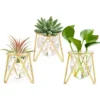 Porte-plantes Aériennes Décor En Métal Doré Pour La Maison Ensemble De 3 Mini-jardinières Géométriques Terrariums Vase En Verre Tillandsia Présentoirs Pour Femmes Vases Hydroponiques Pour Bureau (Gold 2 Porte-plantes Aériennes Décor En Métal Doré Pour La Maison Ensemble De 3 Mini-jardinières Géométriques Terrariums Vase En Verre Tillandsia Présentoirs Pour Femmes Vases Hydroponiques Pour Bureau (Gold -Promos Jardin Noble Magasin 40102778 1