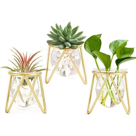 Porte-plantes Aériennes Décor En Métal Doré Pour La Maison Ensemble De 3 Mini-jardinières Géométriques Terrariums Vase En Verre Tillandsia Présentoirs Pour Femmes Vases Hydroponiques Pour Bureau (Gold 3 Porte-plantes Aériennes Décor En Métal Doré Pour La Maison Ensemble De 3 Mini-jardinières Géométriques Terrariums Vase En Verre Tillandsia Présentoirs Pour Femmes Vases Hydroponiques Pour Bureau (Gold