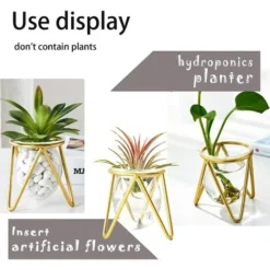 Porte-plantes Aériennes Décor En Métal Doré Pour La Maison Ensemble De 3 Mini-jardinières Géométriques Terrariums Vase En Verre Tillandsia Présentoirs Pour Femmes Vases Hydroponiques Pour Bureau (Gold 8 Porte-plantes Aériennes Décor En Métal Doré Pour La Maison Ensemble De 3 Mini-jardinières Géométriques Terrariums Vase En Verre Tillandsia Présentoirs Pour Femmes Vases Hydroponiques Pour Bureau (Gold -Promos Jardin Noble Magasin 40102778 3