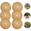 Tapis Coco Plante, Disque De Paillage Coco, Protection D'hiver Pour Plantes En Pot, Protéger Les Racines Des Plantes En Pot Du Gel 20cm Fontainebleau -Promos Jardin Noble Magasin 44183491 1