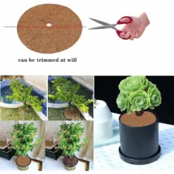 Tapis Coco Plante, Disque De Paillage Coco, Protection D'hiver Pour Plantes En Pot, Protéger Les Racines Des Plantes En Pot Du Gel 20cm Fontainebleau -Promos Jardin Noble Magasin 44183491 4