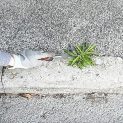 Couteau Grattoir à  Main -Promos Jardin Noble Magasin 45888748 5