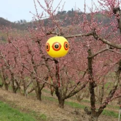 Ballon Effaroucheur D'oiseaux X2 -Promos Jardin Noble Magasin 4629268 5