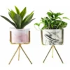Succulent Plant Pots,Support Pour Plantes,Pot De Succulent Avec Plateau,Cactus Plante Planteur De Céramique,Jardinière Contenant Décoration,Présentoir De Pot De Fleur Triomphe 2 Pcs 1 Succulent Plant Pots,Support Pour Plantes,Pot De Succulent Avec Plateau,Cactus Plante Planteur De Céramique,Jardinière Contenant Décoration,Présentoir De Pot De Fleur Triomphe 2 Pcs -Promos Jardin Noble Magasin 46888918 1