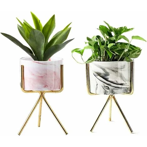 Succulent Plant Pots,Support Pour Plantes,Pot De Succulent Avec Plateau,Cactus Plante Planteur De Céramique,Jardinière Contenant Décoration,Présentoir De Pot De Fleur Triomphe 2 Pcs 3 Succulent Plant Pots,Support Pour Plantes,Pot De Succulent Avec Plateau,Cactus Plante Planteur De Céramique,Jardinière Contenant Décoration,Présentoir De Pot De Fleur Triomphe 2 Pcs