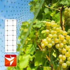 Filet De Protection Contre Les Oiseaux Ultra Résistant Taille De Maille 13 Millimètres 2 X 5 M -Promos Jardin Noble Magasin 46918931 4