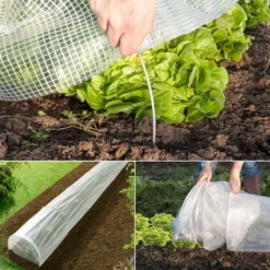 Lot De 2 Tunnels De Forçage Accordéon Toutes Saisons PRO 5M -Promos Jardin Noble Magasin 48820792 5