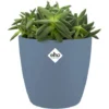Elho Bac à Fleurs Rond Jardinière Pêche Bleu Or En Plastique Pour Extérieur Jardin Terrasse Pot De Fleurs Blau/2,2 Liter (de) 1 Elho Bac à Fleurs Rond Jardinière Pêche Bleu Or En Plastique Pour Extérieur Jardin Terrasse Pot De Fleurs Blau/2,2 Liter (de) -Promos Jardin Noble Magasin 50002480 1